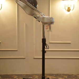 2in1 Head and Face Steamer
